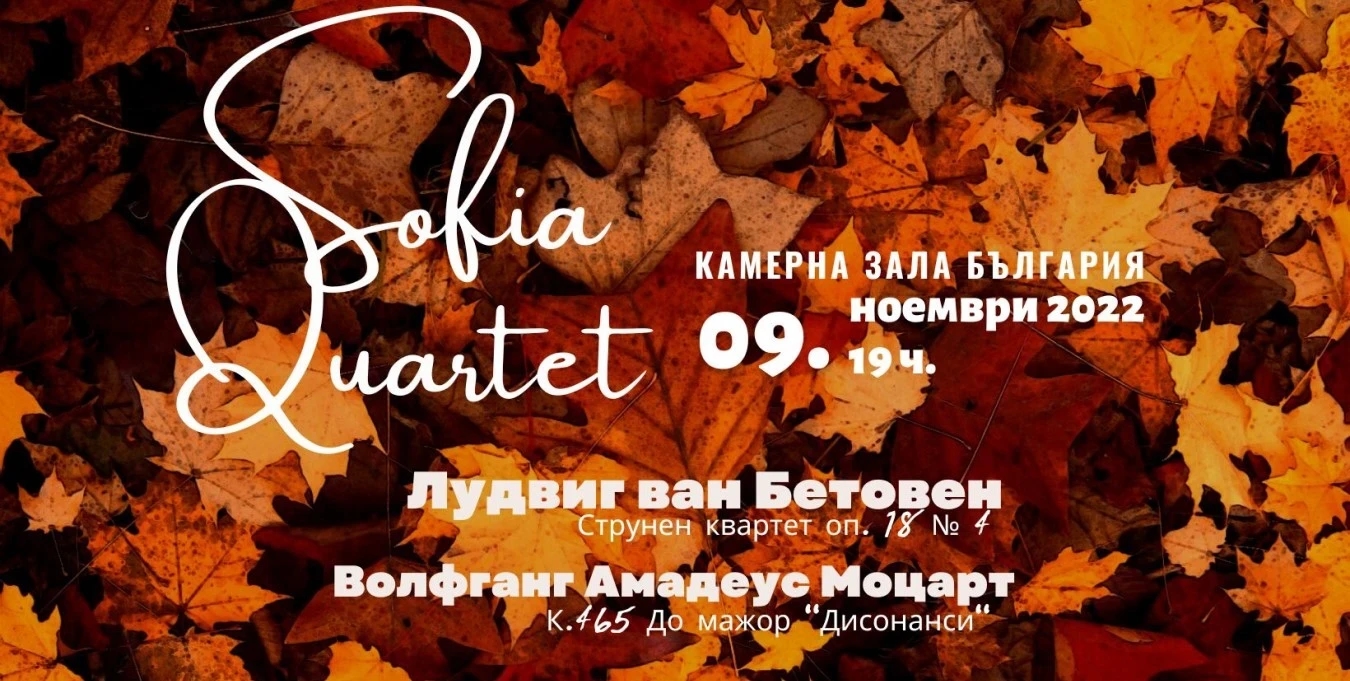 Визия с текст