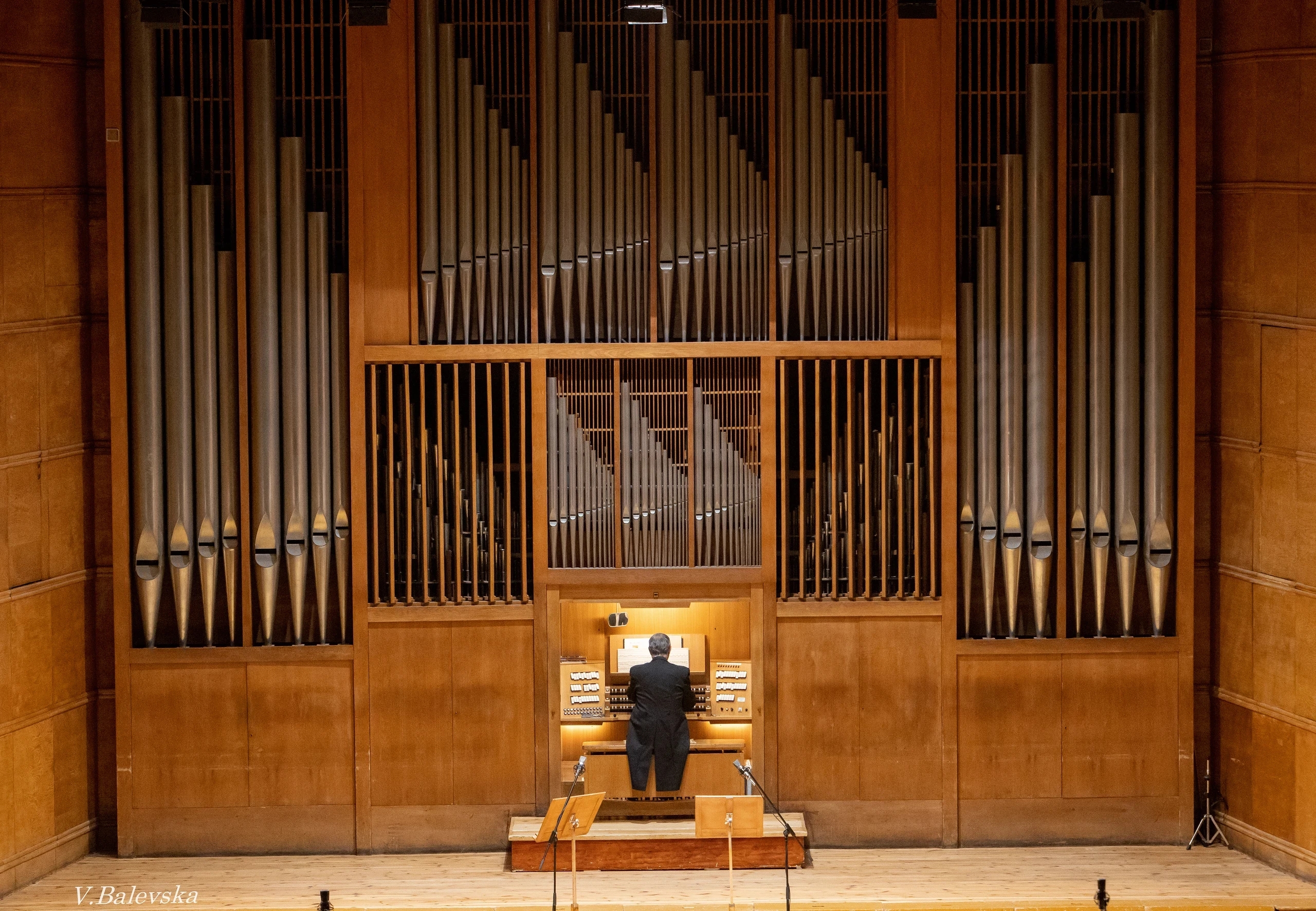 Organ Palette