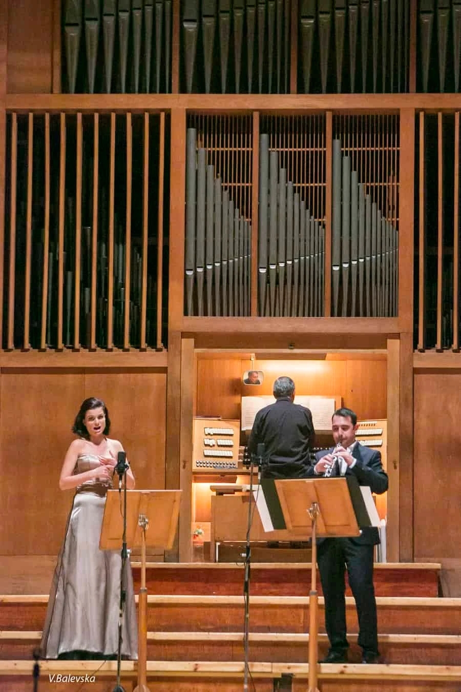 Organ Palette