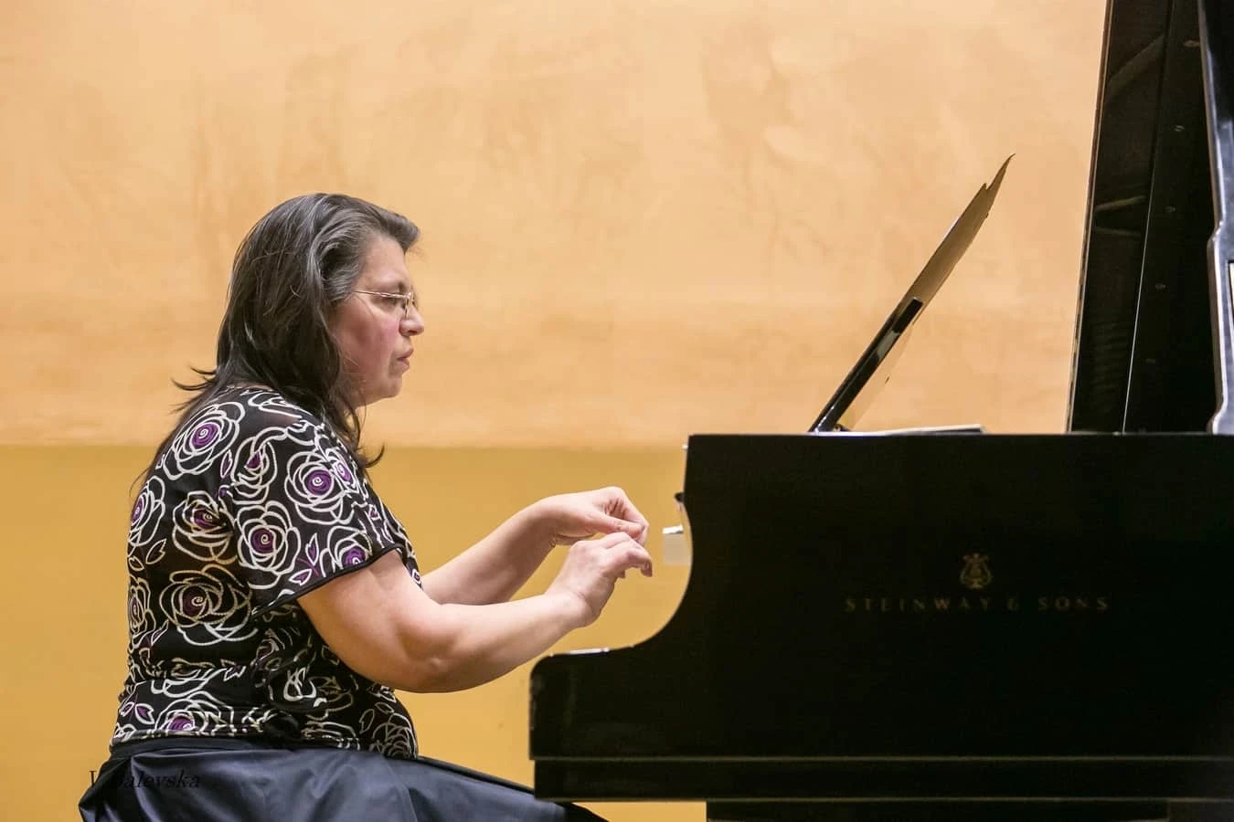 The Music of The Netherlands